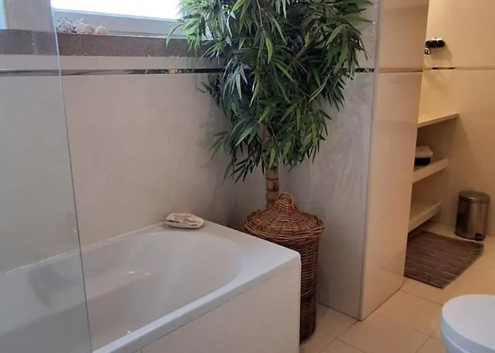 Apartamento Location La Vue Sur